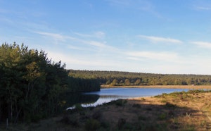 Bergerven