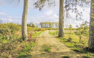 Around Waardamme
