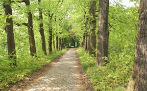 Autour de Zelem