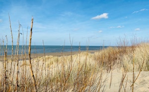 De Zandpanne