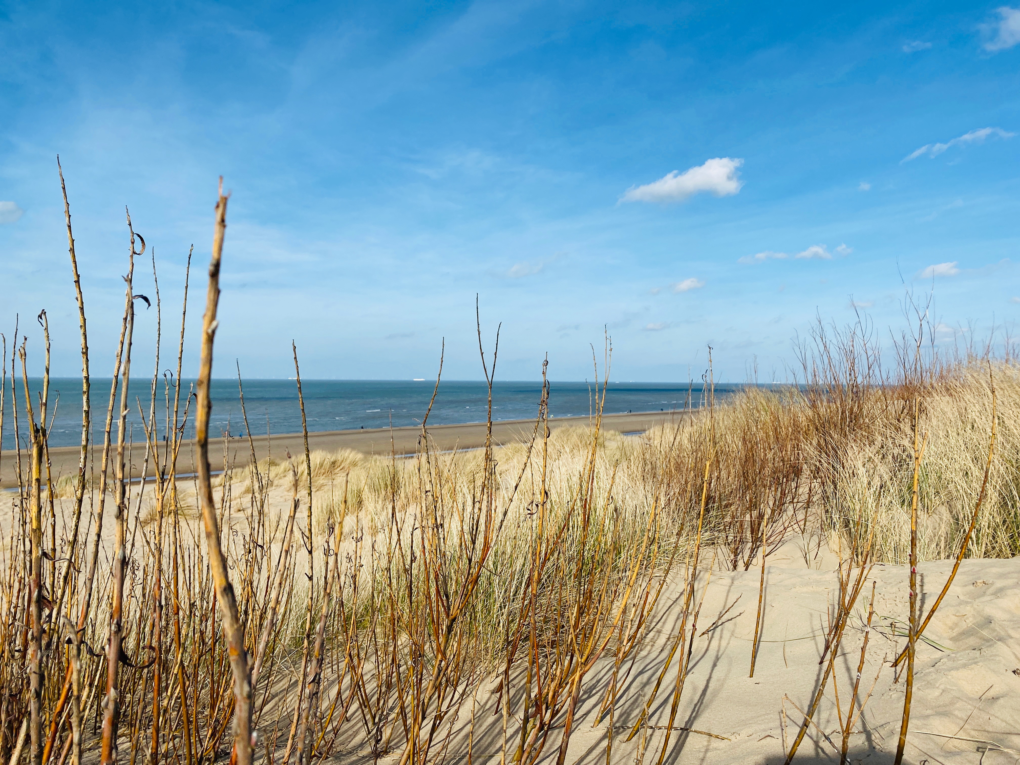 De Zandpanne