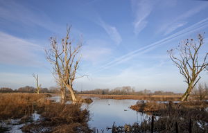 Bourgoyen-Ossemeersen