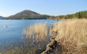 Grote Plas et Lange Terril