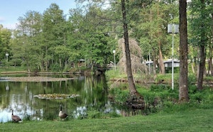 De Teut et Molenheide