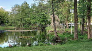 De Teut and Molenheide