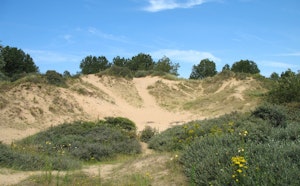 Doornpanne and Hoge Blekker