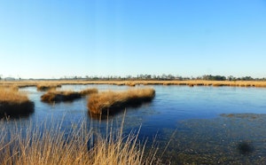 Dunes de Van Ganzenven et Kambuus