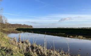 Around Herentals