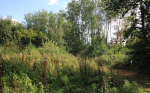 Kloosterbos