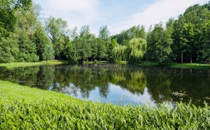 Liniewegel
