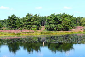 Longue boucle de De Teut