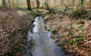Bois de Heverlee