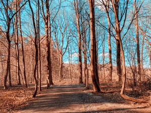 Loop of Sint-Joris-Weert