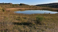 Mechelse Heide