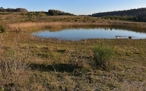 Lande des Malines