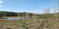 Natuurgebied Gerhagen