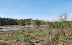 Natuurgebied Gerhagen