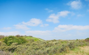 De Westhoek Nature Reserve