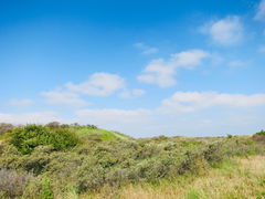De Westhoek Nature Reserve