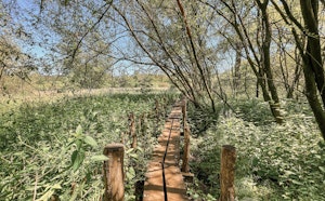 Natuurreservaat Lovenhoek