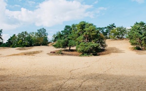 Oudsberg