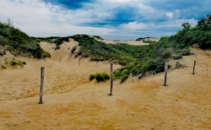 Schipgatduinen