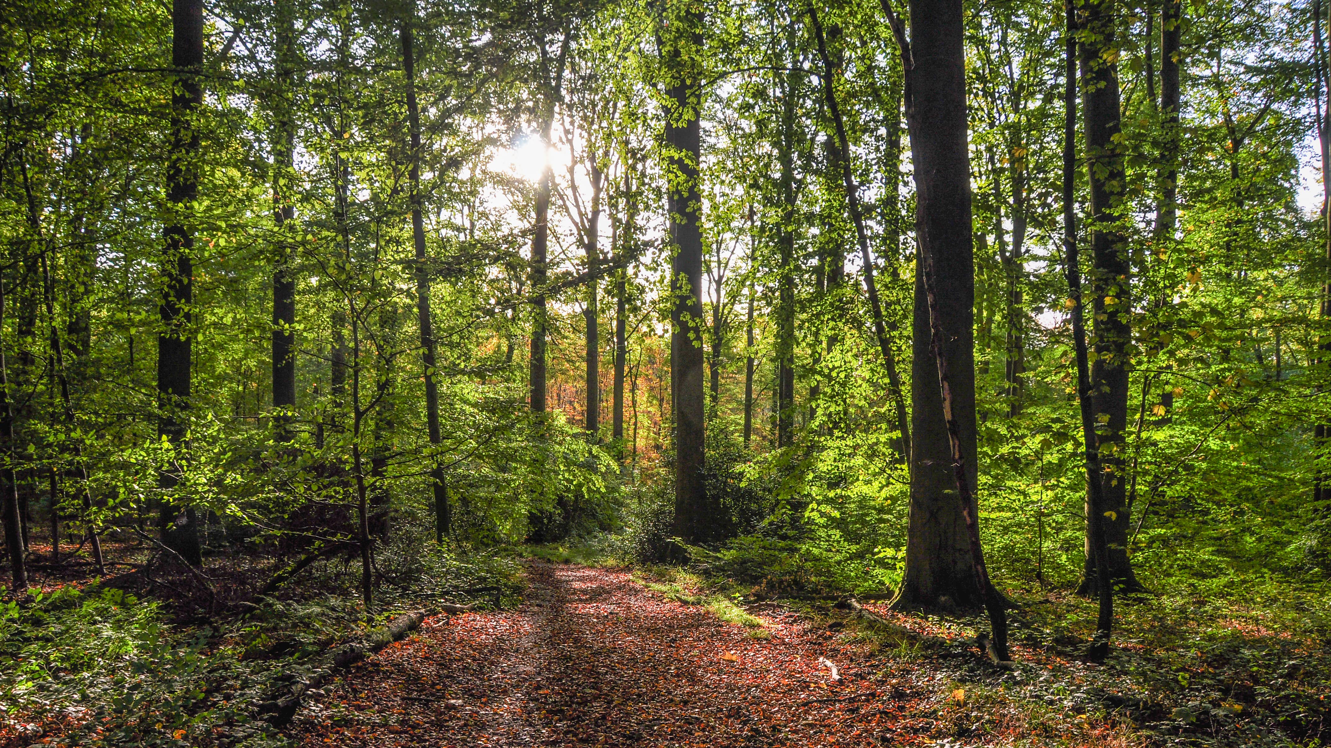 Sentier des Loups
