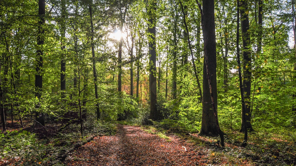 Sentier des Loups - Hika Trail