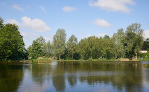 Étangs de Oud-Heverlee