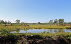 Vloethemveld