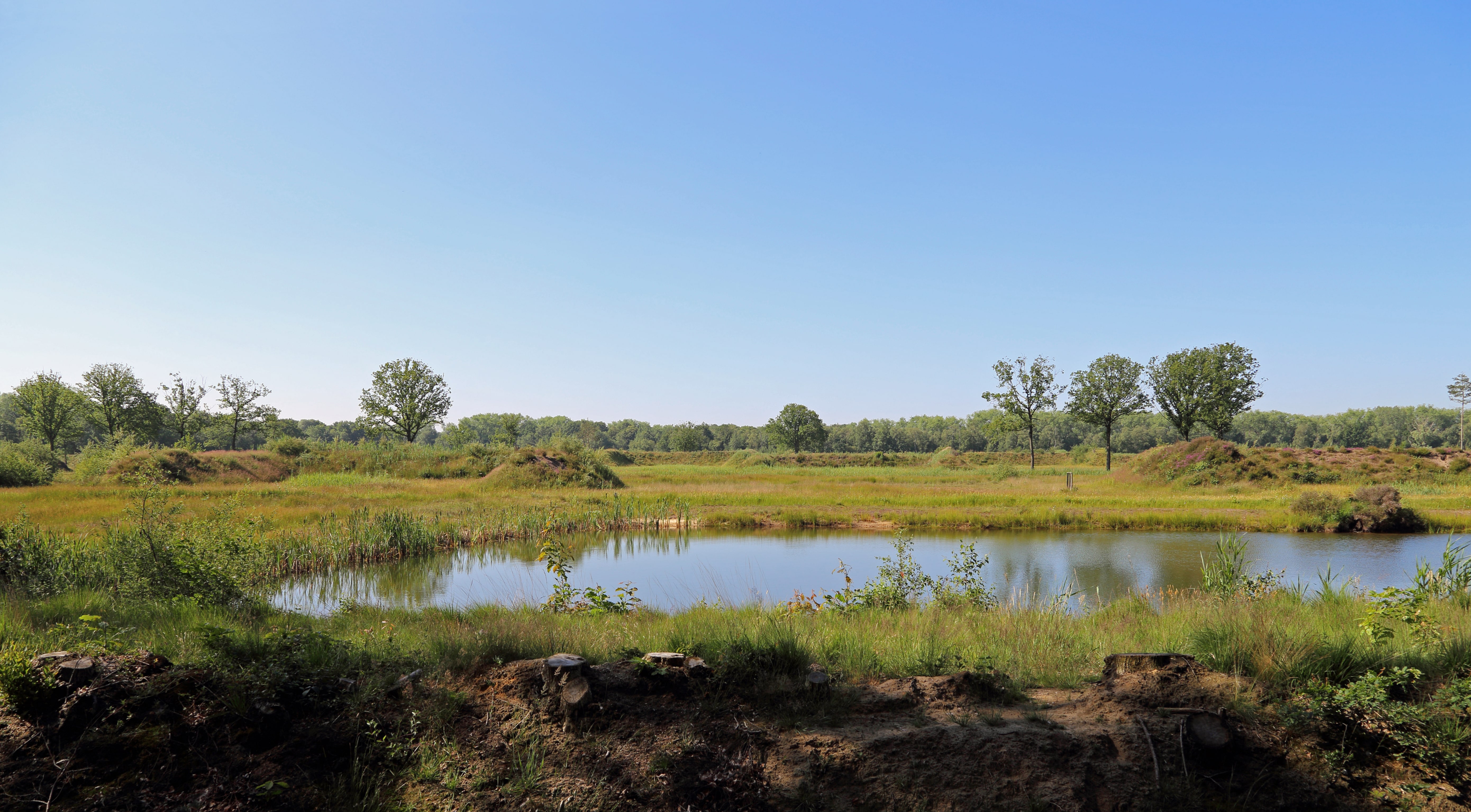 Vloethemveld