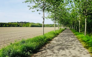 Wijnendalebos