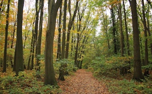 Bois de Kravaal