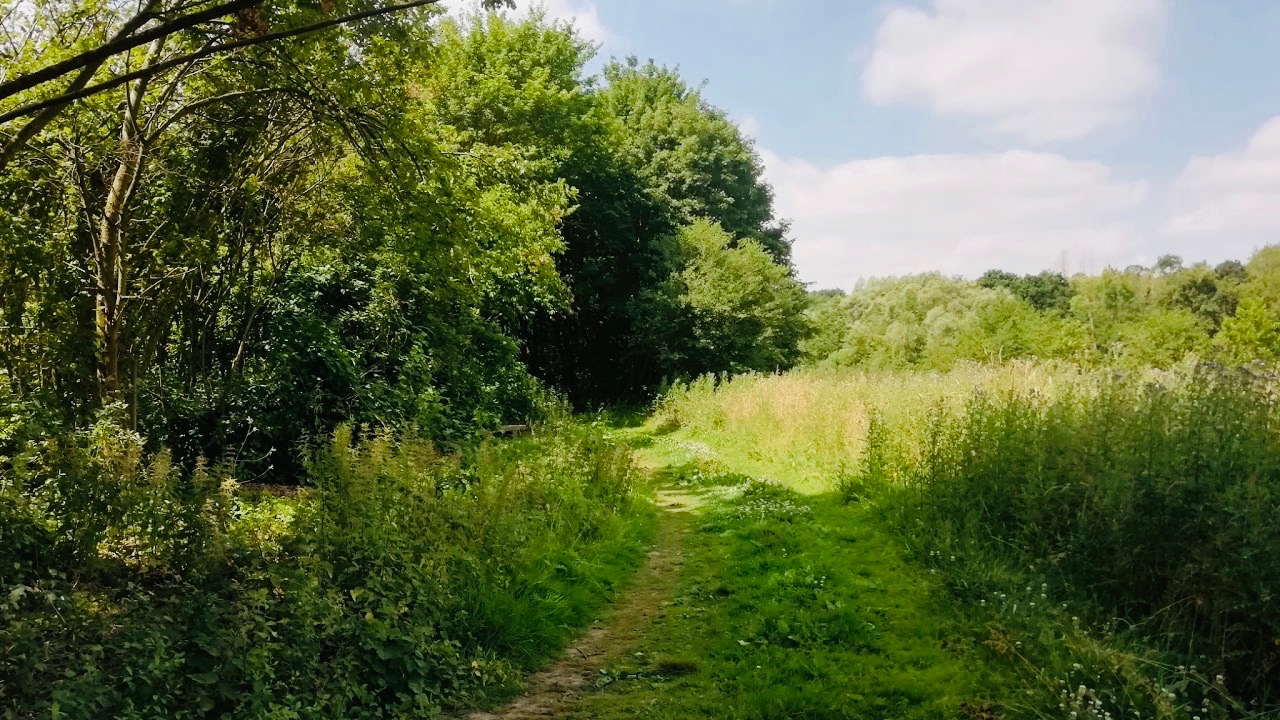 Bois de Liedekerke