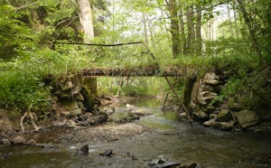 Le long de la Lesse et de l'Iwoigne