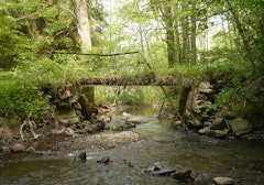 Le long de la Lesse et de l'Iwoigne