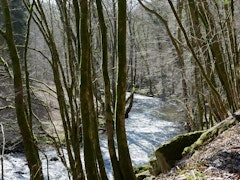 Along the Lesse