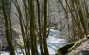 Le long de la Lesse