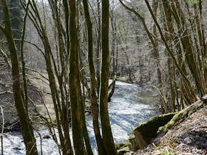 Along the Lesse
