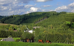 Around Achouffe