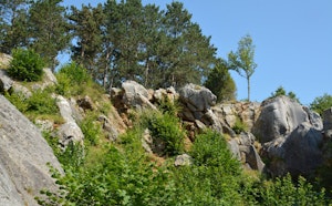 Around Nismes