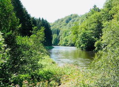 Around Sainte-Cécile 