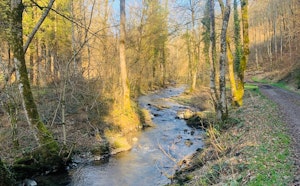 Bords de l’Iwoigne