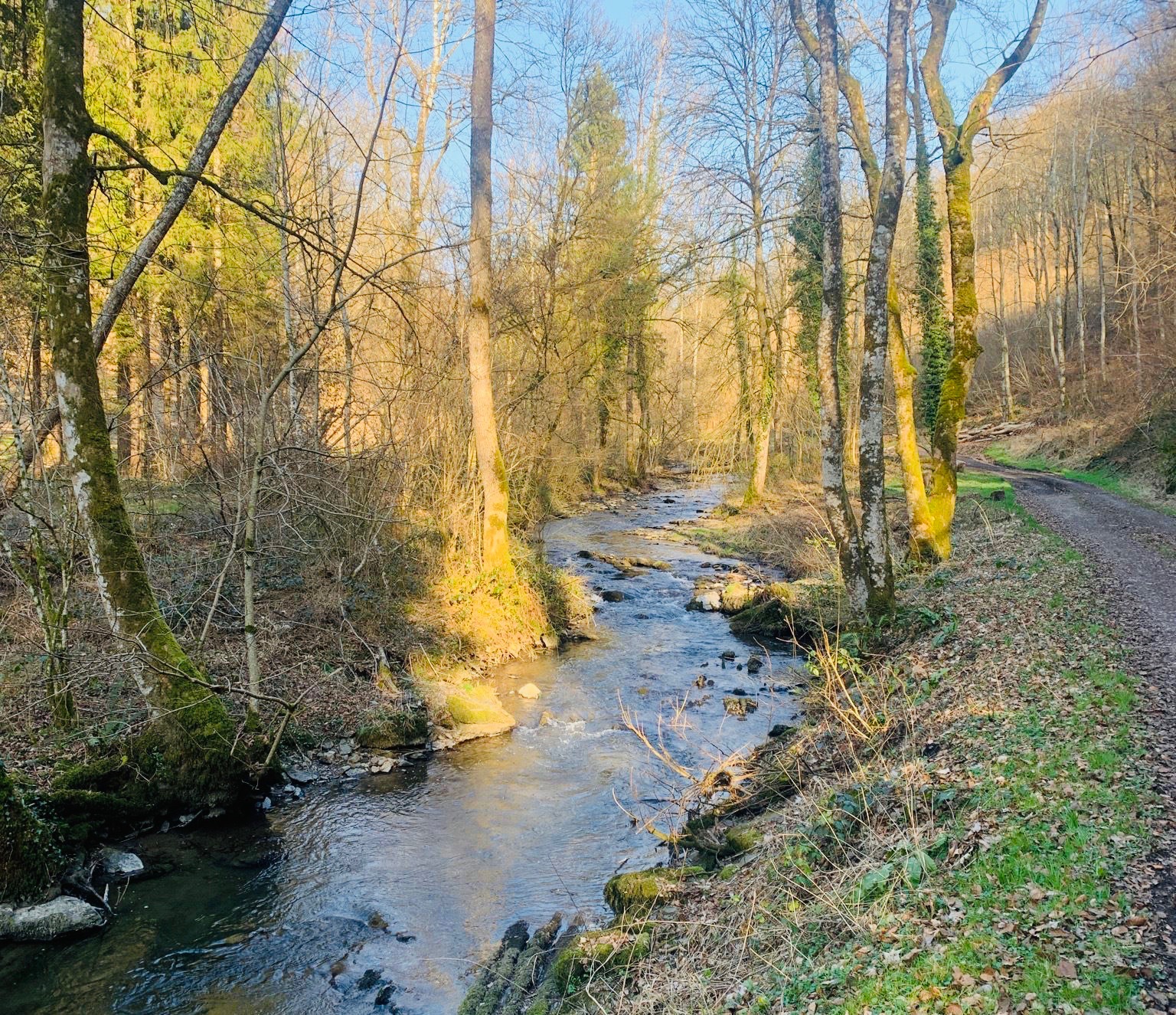 Bords de l’Iwoigne