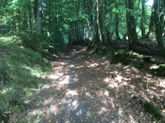 Réserve Naturelle de Dourbes