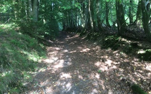 Réserve Naturelle de Dourbes