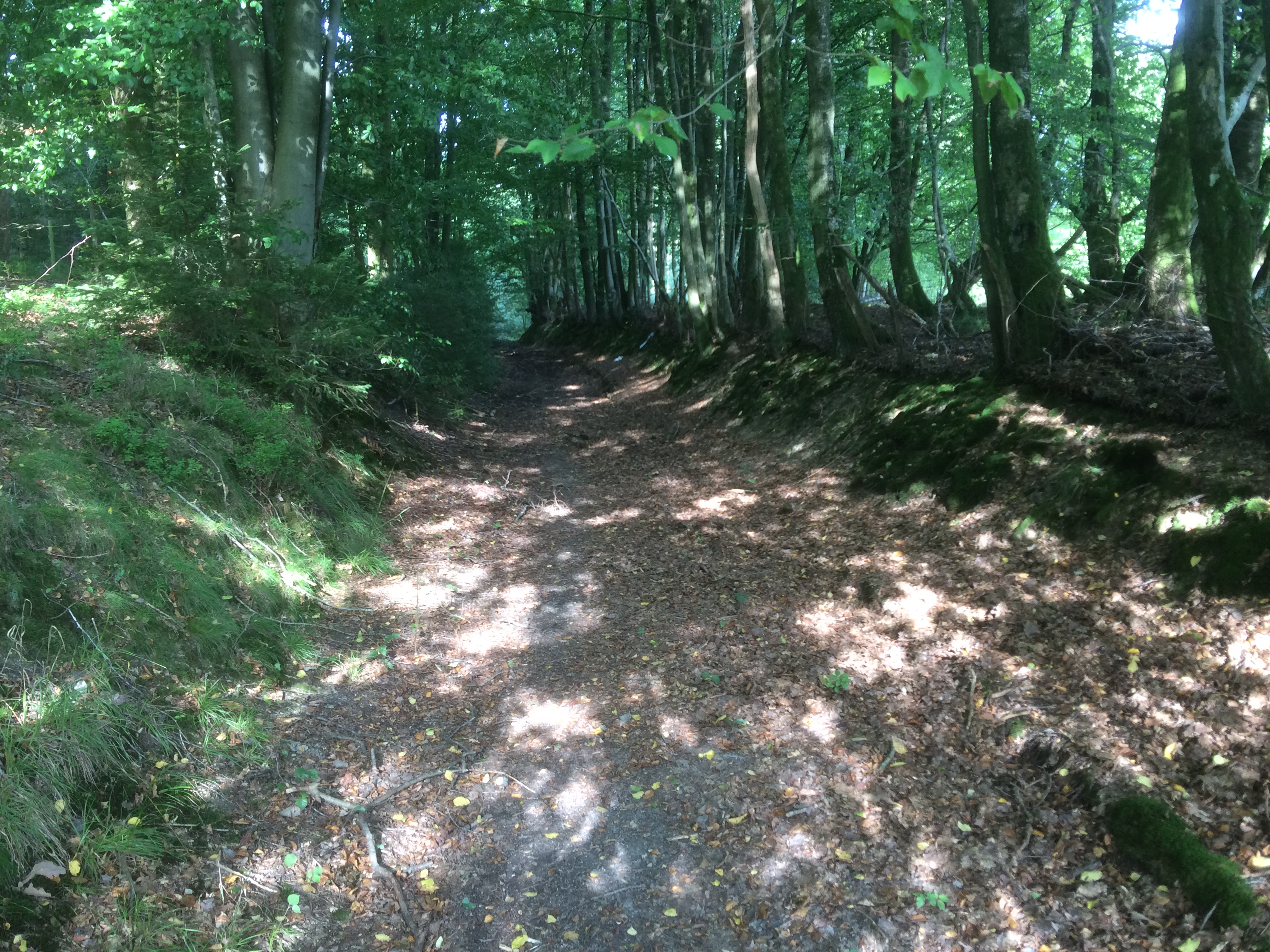 Réserve Naturelle de Dourbes