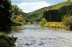 Between Vresse-sur-Semois and Mouzaive