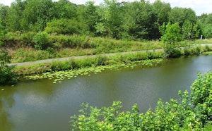 Bois d'Arpes and Old Brussels-Charleroi Canal