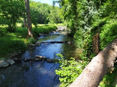 Bois de Blaimont